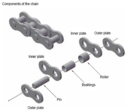 Components of the chain