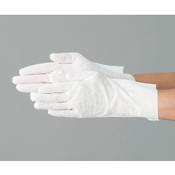 ถุงมือสำหรับห้องคลีนรูม (แบบ SL)