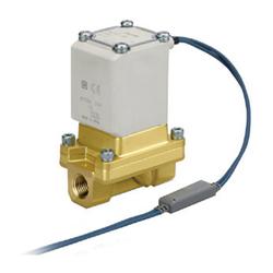 Pilot Operated 2-Port Solenoid Valve for Steam, VXS2 Series (VXS255HLA)