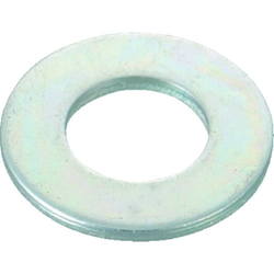 แหวนอีแปะ (B270020)