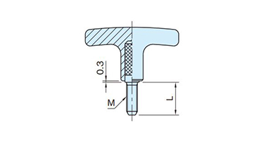 Drawing แสดงโครงร่างของสตัด