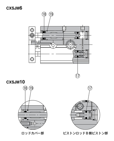 Drawing แสดงโครงสร้างของชุดซีล รุ่น CXSJM (ตลับลูกปืนทั่วไป) สำหรับกระบอกสูบก้านคู่, ซีรีส์ CXS
