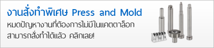 งานสั่งทำพิเศษ Press and Mold หมดปัญหางานที่ต้องการไม่มีในแคตตาล็อก