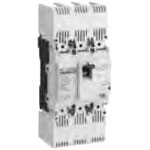 Earth Leakage Circuit Breaker for Electrical Work DG Series (High Capacity) (DG203D/150-30MA) 