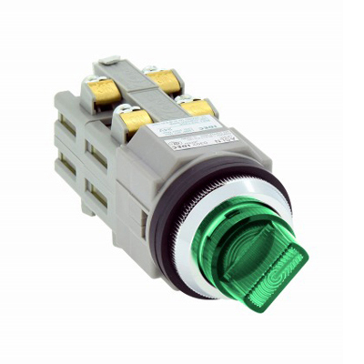 ø30 Series Illuminated Selector Switch, ASLN Type (ASLN22211DNG) 