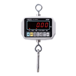 Dust-Proof And Water-Proof Crane Scale HTW