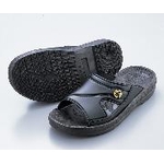 ASPURE ESD Slippers