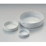 Porcelain Flat Plate (6-563-01)