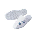 Clean Slippers (1-7704-05)