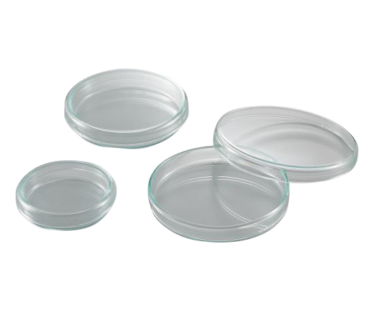Standard Petri Dish (2-9169-01)