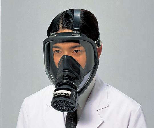 Direct Coupled Gas Mask (for Medium Concentrations of 1.0% or Lower)