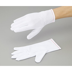 ASPURE Nylon Precision Work Glove L 12 Pair Included
