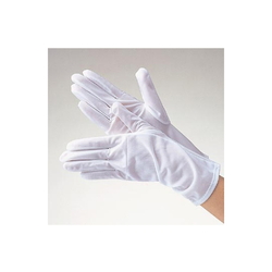 Dust-Proof Gloves 100 Pairs PA3402X