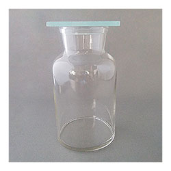 Gas Collecting Bottle, 500 mL (With Bottom and Lid)