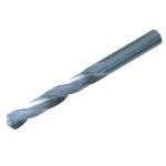 Solid drill SDS type (SDS-004) 