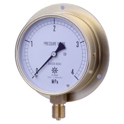 HNT General Purpose Pressure Gauge For Vapor, Rounded Edge Type (B) (BMT-G1/4-60X2.5MPA-AHT) 