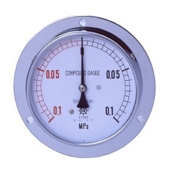 IPT General Pressure Gauge For Vapor, Embedded Type (D) (DMU-G3/8-150X0.05MPA-AIT) 