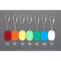 Color Key Ring EA956V-62