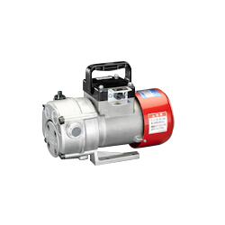 Electrical Oil Pump EA991CR-31