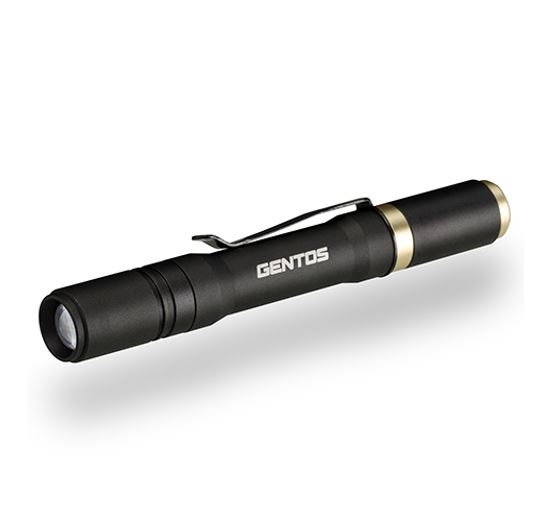 Focus Control Rechargeable Pen Light - RX-304R
