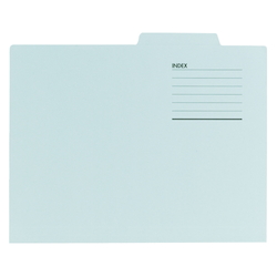 File Folder A4 10 Count Blue