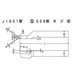 HSS Bit JIS51 Model S509 Model Threading (TTB51-11) 