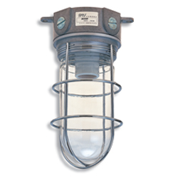 Light Bulb, Indoor Lamps FE-701-GLOVE