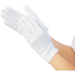Static Electricity Prevention Gloves (10-pair set) (TPG-118S)