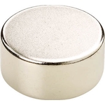 Neodymium Magnet (Round) (TN4-5R-1P) 