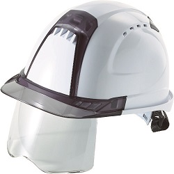 Helmet (with Face Shield)