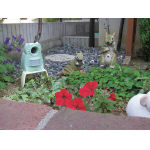 Cat Repellent Equipment Ultrasonic Mini Type Garden Barrier