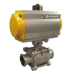 Stainless Steel, Valve, Sanitary Ball Valve with CSS Actuator