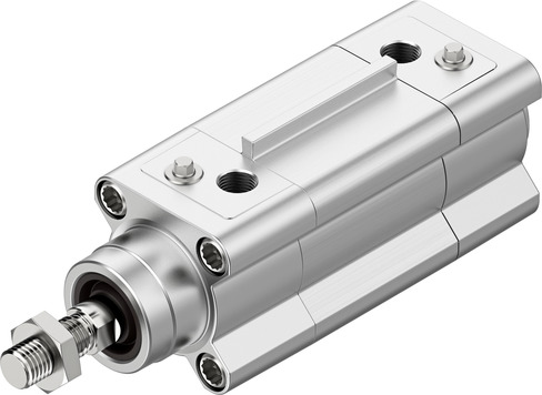 Standards-based Cylinder, DSBF Series