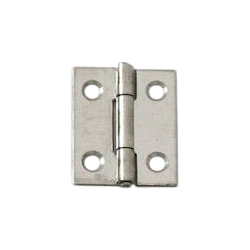 Stainless Steel Hinge