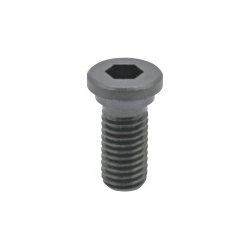 Bolt for Self-Cut Use (MBFCS-BT)