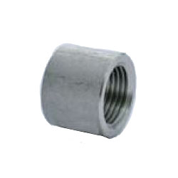 Stainless Steel Screw-in Pipe Fitting, Half Tapered Socket (304HPTS-40) 