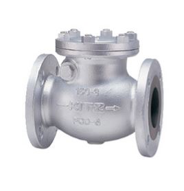 General Purpose Ductile Iron Class 150 Swing Check Valve Flange