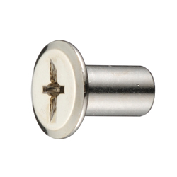 Joint Connector Decorative Nut, Cross-Head/Straight-Slot (+-) (JCBDNT-STGJB-M6-12) 