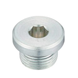 Flanged Hex Socket Head Screw Plug SPN-L (SPN-1-L) 