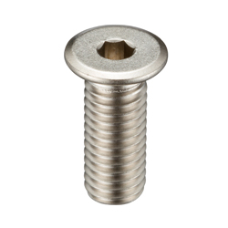 Ultra Low-Profile Head Bolt With Hex Socket SSH (SSHS-M2.5X12) 