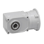 GTR Gear Motor, S Type Speed Reducer (0.1 kW to 1.5 kW) Concentric Hollow Shaft (F3SS-35-160-040) 