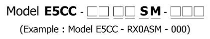 Temperature Controller (Digital Controller) E5CC Screw Terminal Block Type-1