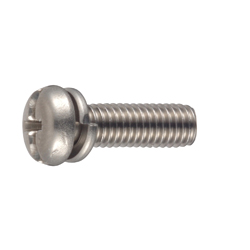 Pan Head Screw with Cross/Straight Slot P=2 (SW)