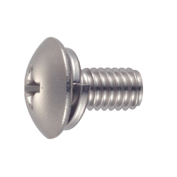 Phillips Head Truss Screw P=2 (SW) (CSPTRB2-ST3W-M4-10) 