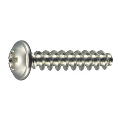 PT Screw (1411-H2) with Phillips Head (CSPPNHF11H2-STU-TPT5-12) 