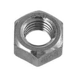 Hex Nut (1 Type) (Imported Item) (Taiwanese)