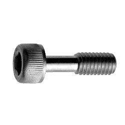 Stainless Steel Bolt with Hex Socket (Loss Prevention Screw) (CSHHE-SUS-M4-6) 