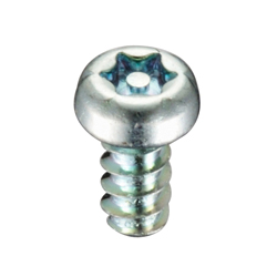 Tamper-Proof Screw Pin/Pan 6 Lobe Tapping B Type