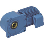 SG-P1 Hollow Shaft Gear Motor, Orthogonal, Hollow shaft (TMHFB-02-160) 