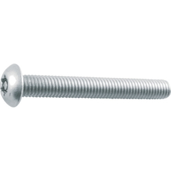 6 rob button bolt (stainless steel) (B106-0408) 